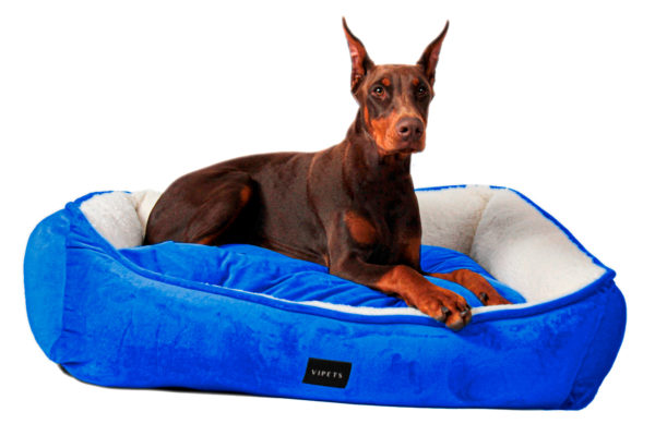 Cama Luxury Mascota Azul Rey