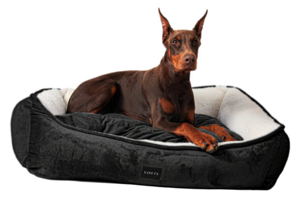 Cama Luxury Mascota Negro